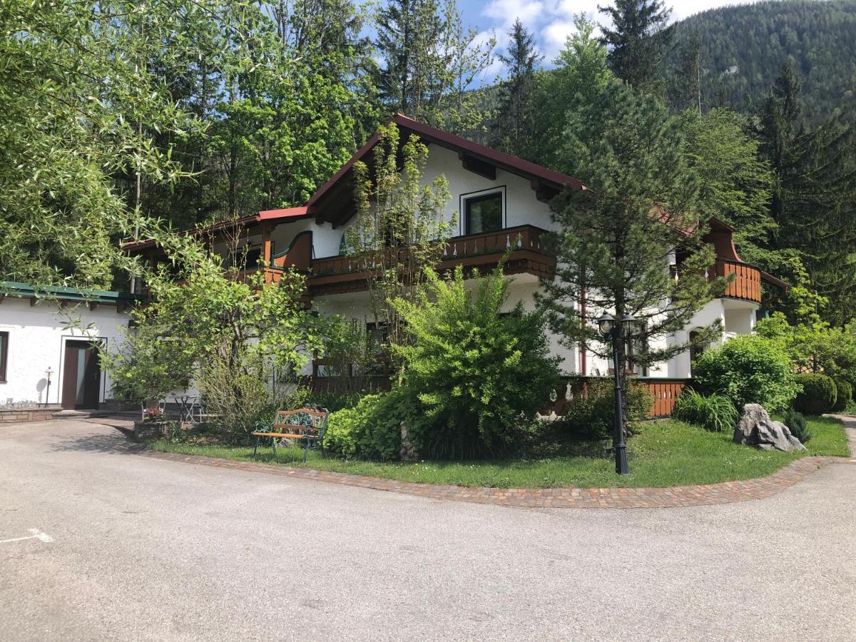 Appartement Waldhaus *